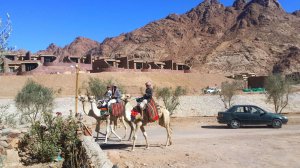 Экскурсия в Монастырь Святой Екатерины. Начало экскурсии, информация гида. Остановка в кафе. Завтрак