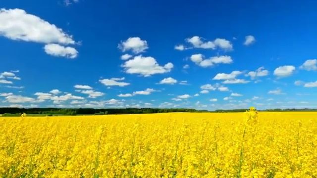 Музыка для отдыха