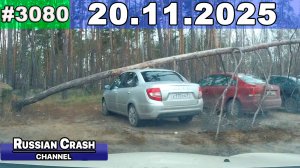 ДТП. Подборка на видеорегистратор за 19.11.2025 Ноябрь 2025