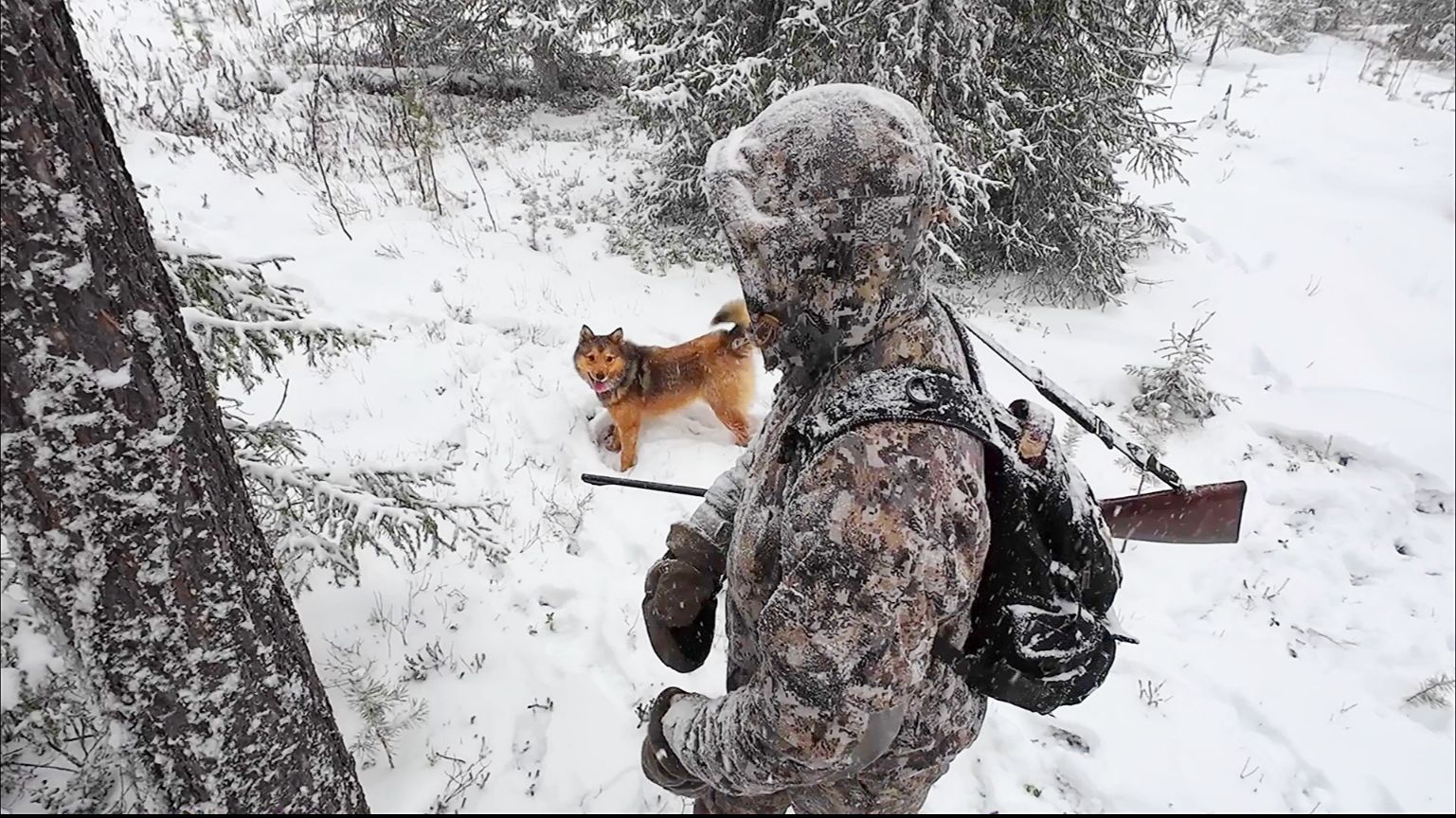 ЛУЧШЕ БЫ НЕ ХОДИЛ СЮДА ВООБЩЕ / ПЛАНИРУЮ ОХОТУ НА ЛОСЯ / ЖЕСТОКИЙ СНЕГОПАД ПРИШЁЛ НА ПИЖМУ.