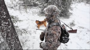 ЛУЧШЕ БЫ НЕ ХОДИЛ СЮДА ВООБЩЕ / ПЛАНИРУЮ ОХОТУ НА ЛОСЯ / ЖЕСТОКИЙ СНЕГОПАД ПРИШЁЛ НА ПИЖМУ.