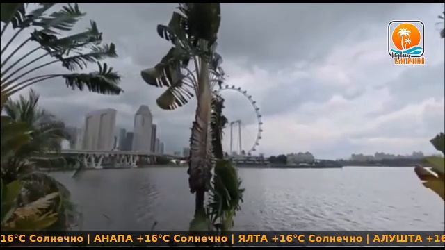 Прямой эфир.