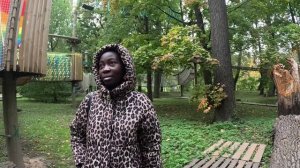 Крылатый мини зоопарк гибрид петуха - собачки.