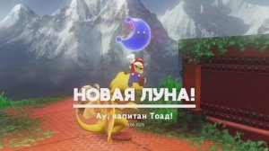 Ау, капитан Тоад!