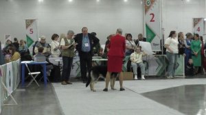 Моншер Вирсаль Эмир