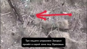 Никаких линий. Есть только хаос в онлайн-режиме.