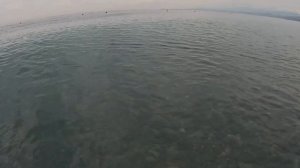 В море с головой