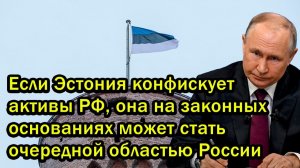 Если Эстония конфискует активы РФ, она на законных основаниях может стать очередной областью России