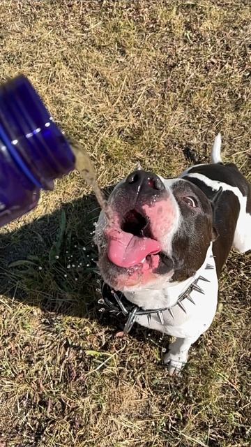 Мой мир. смотреть онлайн