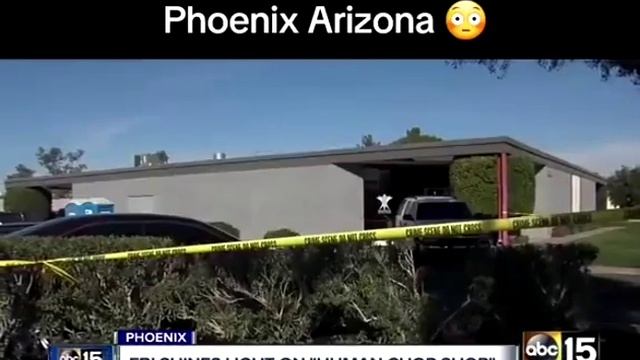 Супермаркет человеческих тел смотреть онлайн