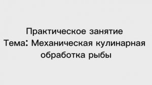 641, МДК 01.02, 24.11.2025 - Практическое занятие
