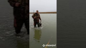 Удачно добытый гусь!!!