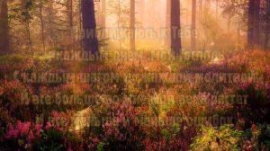 Благодарю за милость Твою