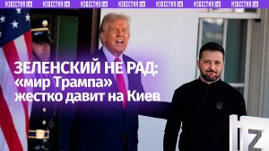Зеленскому не понравится: мир по версии Трампа — признать новые территории и отказаться от НАТО