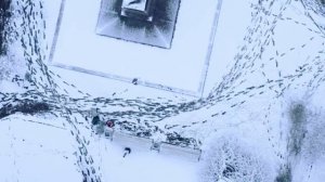 Первый снег