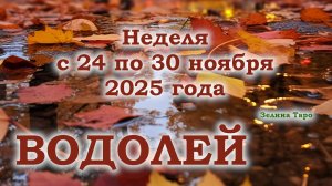 ВОДОЛЕЙ | ТАРО прогноз на неделю с 24 по 30 ноября 2025 года