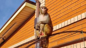 Джонни плюхнулся в теплую ванную