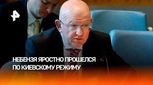 Небензя назвал киевский режим вороватой шайкой, наживающейся на конфликте