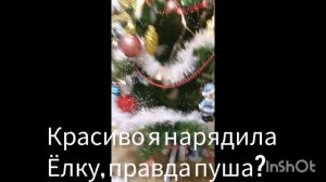 Белла и пуша часть 8. подготовка к новому году.