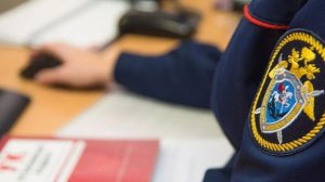 После нападения собаки на 11-летнего мальчика в Приангарье возбуждено дело