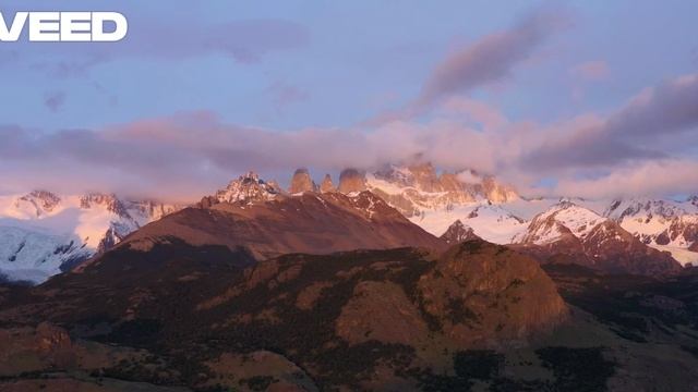 BallaDonna - Forward