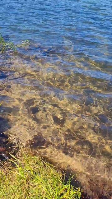 Карелия 2025. Озеро Сариярви (Светлое). Июль 2025г (Часть 8) смотреть онлайн