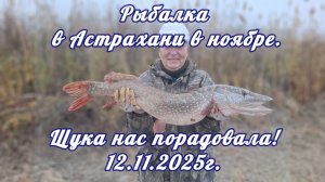 Рыбалка в Астраханской области в ноябре. Щука нас порадовала! 12.11.2025г.