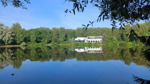 Greywolf - Прогулка по Санкт-Петербургу