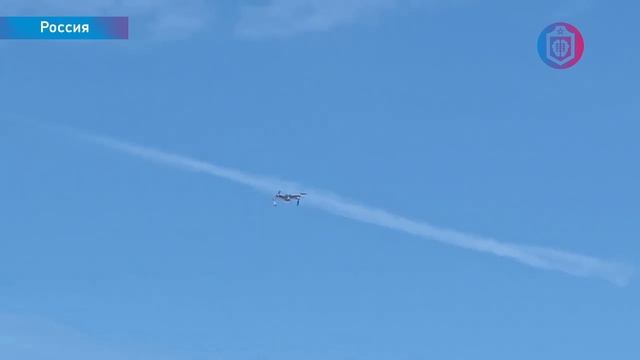 Когнитивная Витаминка № 287