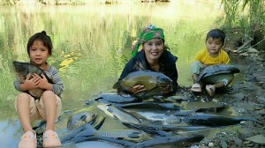 Ловлю рыбу, расставлением капканов. Перекрываю воду для ловли рыбы. Готовлю вместе с дочкой. Вьетнам