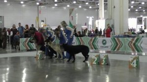 Питомник Русская Легенда