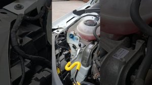 октавия 2019,1.8ат,2 хоз,56ткм .mp4