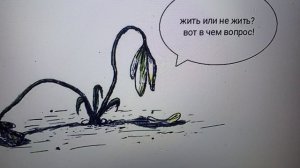 НезаБУДКА домашняя * роста в развитие нет ...