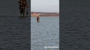 Охота на утку!