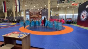 Турнир по греко-римской борьбе памяти М.П. Девятаева