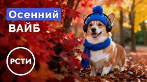 Эпизод 30. Золотая осень