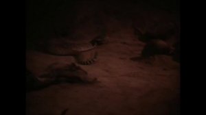 10 потеряных ужасов 90х VHS триллеры страшное кино