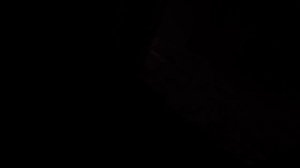 Продержаться до эвакуации.