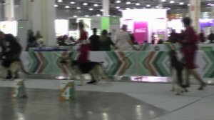 Сравнение открытого класса