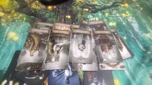 Девы  Декабрь 2025 Любовь Отношения Свободные Расстались