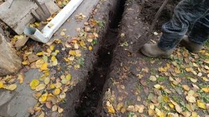 Провели воду в летнюю кухню. Стрижка деревьев. Сбор грибов.