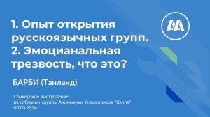 Барби Таиланд Спикерское на онлайн группе АА Капля 5 03 24