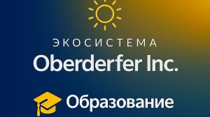 4️⃣ 🎓 Образование