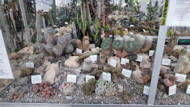 Крым 2025 - БАЛ ХРИЗАНТЕМ. Обалдел от этого места. Стоит ли посещать? Показываю ВСЮ ПРАВДУ.