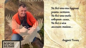 Стихи тоже могут погибать