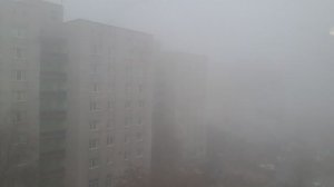 А у нас страшный туман!😮😮😮