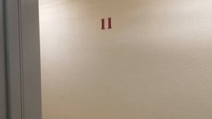 Грузопассажирский, пассажирский лифт V=1 м-с, Q=400, 630 кг (5198), музыкальные лифты Wellmaks