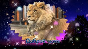 Доброй ночи!