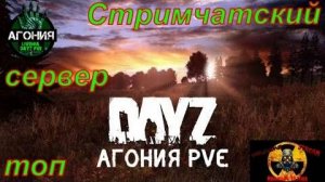 DayZ [RU] сервер Агония PVE 1 в поисках  Механиков#SCUM#DayZ