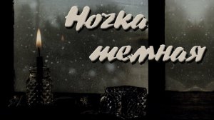 Ночка темная